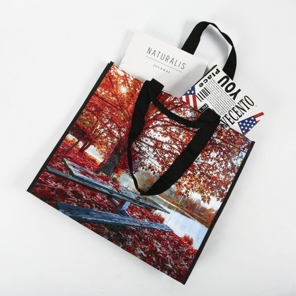 Wholesale custom printed eco friendly PP woven reusable large fall tote bag - Image 2