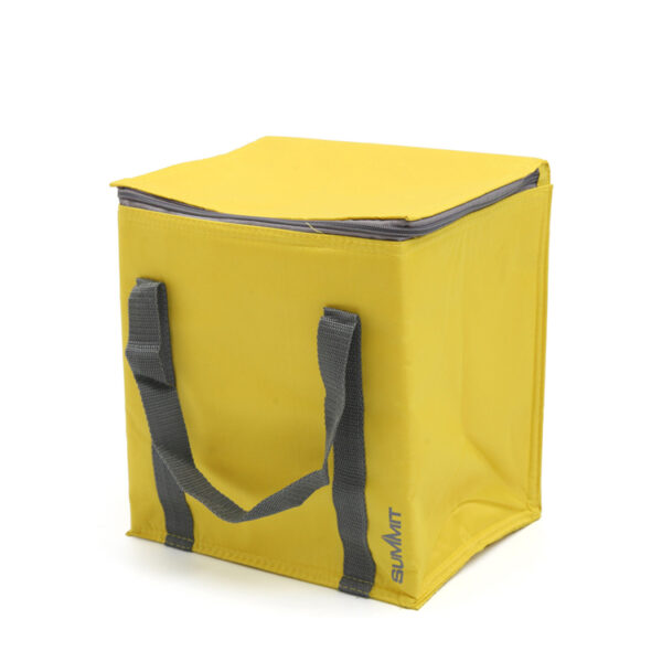 600D polyester lunch food delivery thermal insulated cooler bag