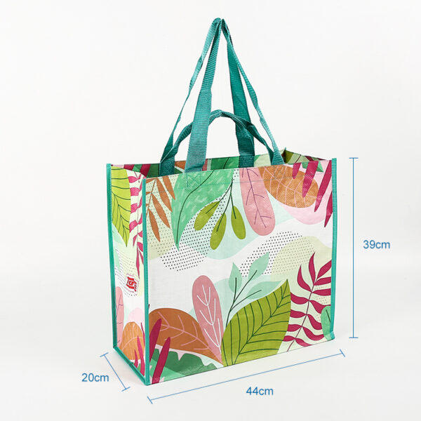 Wholesale custom reusable printed eco friendly pp woven laminated bag - Image 3