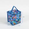 PP non woven EPE 100% eco friendly summer cooler beach bag