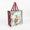 Eco friendly custom printed PP woven reusable shopping bags