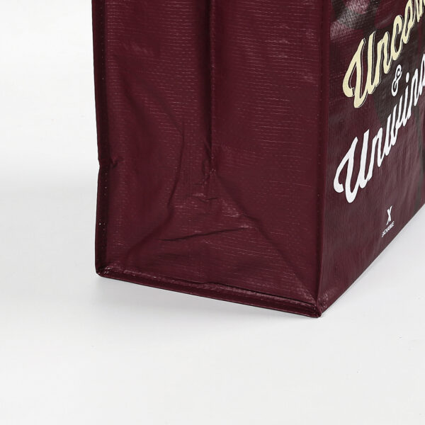 Top quality customized PP woven wine bag for travel - Image 5