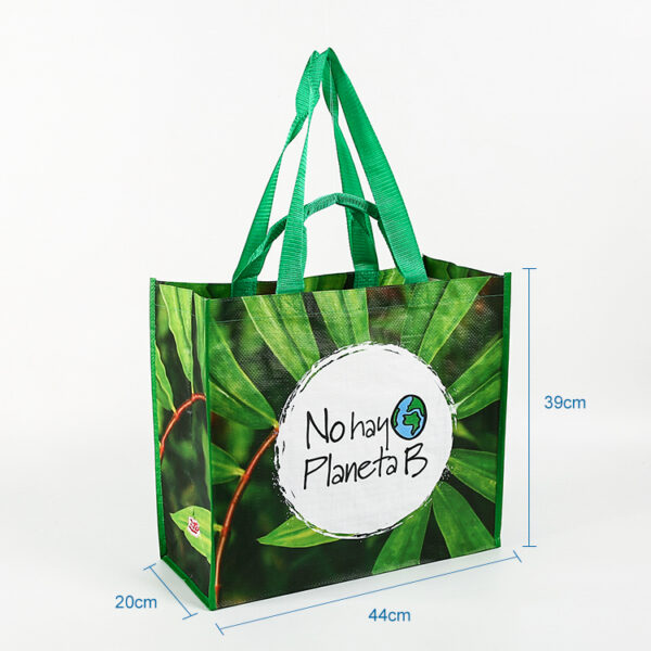 Wholesale printed eco friendly custom logo ecofriendly shopping pp laminated woven bag - Image 3