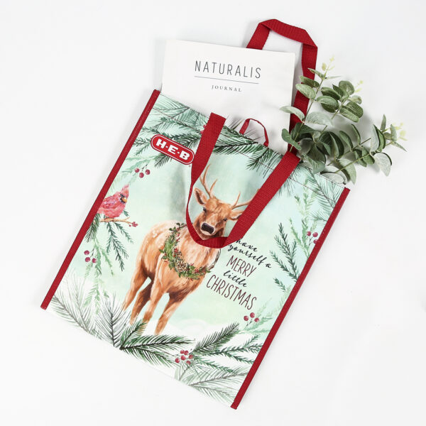 Eco friendly custom printed PP woven reusable shopping bags - Image 2