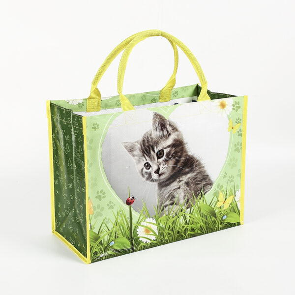 Eco friendly PP woven heavy duty custom laminate reusable cat shopping tote bags