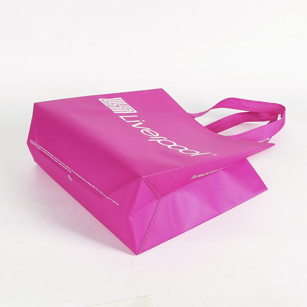 Custom printed heat seal non woven ultrasonic bag with logo for supermarket grocery - Image 3