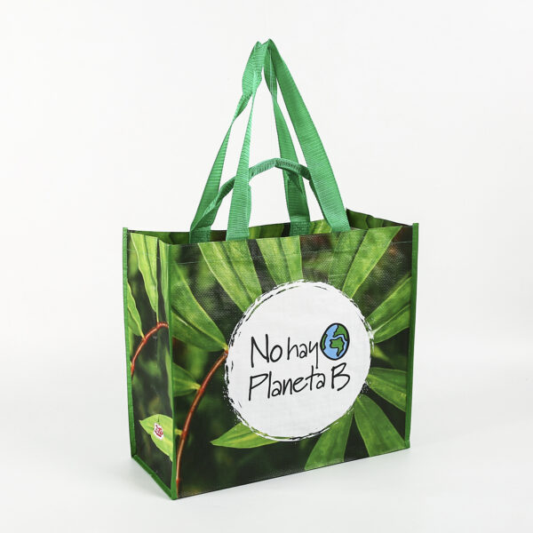 Wholesale printed eco friendly custom logo ecofriendly shopping pp laminated woven bag